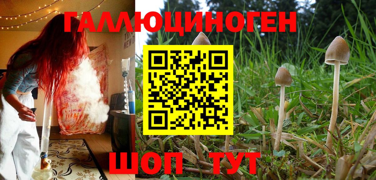 Галлюциногенные грибы Magic Shrooms  Вход с VPN  Псилоцибиновые грибы Cubensis  Большой Камень 